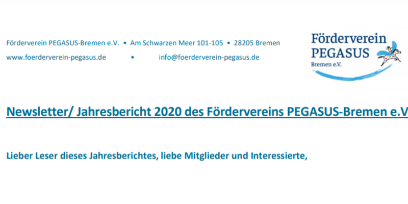 Newsletter/ Jahresbericht 2020