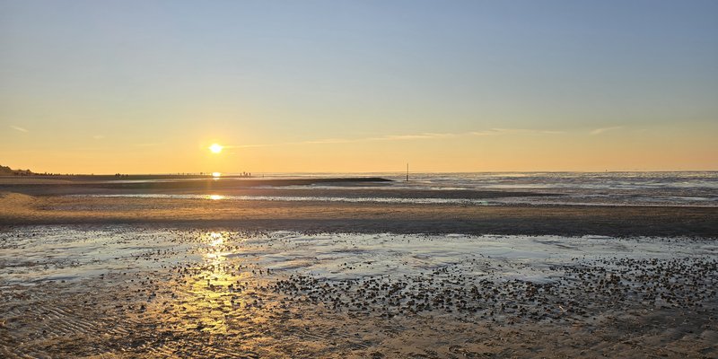 Wir wünschen ein FROHES NEUES JAHR 2026 !
